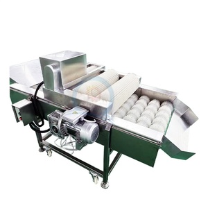 Hay diferentes modelos disponibles Nopal Fig Dethorning Machine Máquina de limpieza de frutas - Product Image 1