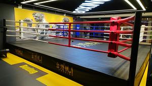 Mini Material <span class=keywords><strong>De</strong></span> Boxe Ring <span class=keywords><strong>De</strong></span> Boxe Prix Flexible Professionnel <span class=keywords><strong>4X4</strong></span> Ocasión Portátil Thai Championnat - Product Image 4