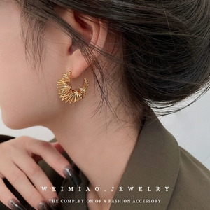LT-MS-200 Irregular Mesh Twisted Hollow Earrings Niche Cool <strong>High</strong>-<strong>end</strong> Feel 18K Titanium Steel <strong>Jewelry</strong> Wholesale Trendy - Product Image 6
