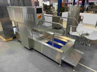 Estación de Higiene Automática Estándar HACCP con Lavador de Botas Integrado y Desinfección de Manos para Fábrica de Alimentos