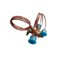 Vanne d'expansion de climatisation pour bus 80107176A00 JL170926-004 EWB-35M001 pour climatiseur de bus Higer Kinglong
