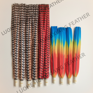 <span class=keywords><strong>Plumas</strong></span> Sintéticas de Faisán Lady Amherst para Disfraces de Carnaval y Samba, de 60-160 cm - Product Image 3