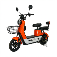 Vélo Électrique Léger en Acier au Carbone avec Batterie au Plomb 350W 48V, Assistance à la Pédalisation, Longue Autonomie, Abordable pour les Trajets Urbains – Vente Directe Usine