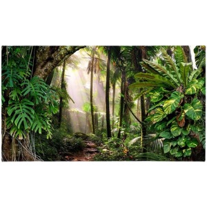 Carta da parati foresta impermeabile foresta pluviale tropicale sud-est Asia pianta della giungla murale legno verde tessuto da parete natura sfondo - Product Image 5