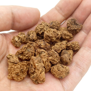 Haccp New Product Freeze-Dried Matatabi Insect Gall Fruit Silver Vine Actinidia Polygama for Cat Chew <b>Toy</b> & Cat Snack - Product Image 5