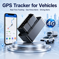 Rastreador Vehicular 4G LTE Impermeable con GPS en Tiempo Real, Posicionamiento Wi-Fi Beidou para Seguridad de Activos y 1 Año de Garantía