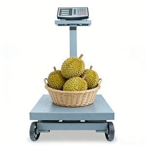 <span class=keywords><strong>Balance</strong></span> électronique numérique 400 kg avec écran LED, plateforme en acier au carbone, personnalisable OEM/ODM pour la pesée - Product Image 1