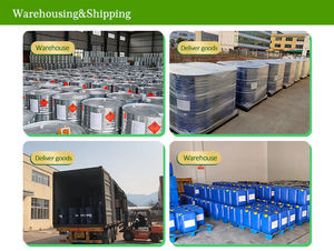 Olio di germe di grano spremuto a freddo per alimenti e cosmetici 100% olio di germe di grano puro per capsule certificato Halal fornitore di fabbrica - Product Image 5