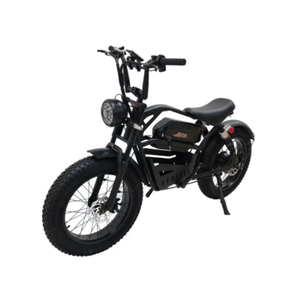 Vélos <span class=keywords><strong>électrique</strong></span>s : Modèles à suspension, à moteur, à charge rapide, de type chaise, pour l'aventure urbaine et le style chinois - Product Image 5