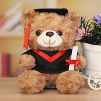 En gros Ours en peluche de graduation 25CM/10 pouces, Ours doctorant, Jouet animal en peluche, Jouet anti-stress, Cadeau personnalisable