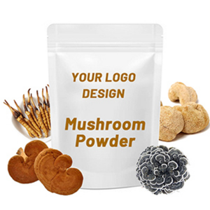 버섯 복합 버섯 믹스 파우더 라이온스 갈기 동충하초 Reishi Chaga 터키 테일 파우더 - Product Image 1