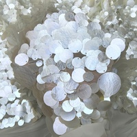 Tissu en dentelle à paillettes brillantes à motif coquillage blanc luxueux, idéal pour les robes de mariée/de soirée