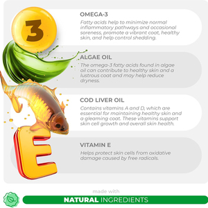 Supplément Premium Omega3 EPA DHA pour la peau et le pelage du chien mâche doux formule de soins de santé pour animaux de compagnie enrichie en biotine pour soulager les démangeaisons fourrure brillante - Product Image 4