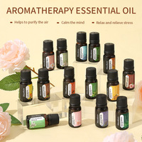 Recharge d'huile essentielle aromatique soluble dans l'eau en verre de 10 ml pour humidificateur ultrasonique USB, diffuseur d'arômes