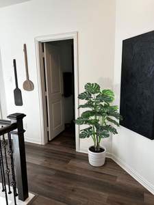 4,5 pies de altura grande Artificial Monstera Deliciosa plantas Faux Tropical Swiss Cheese Floor plantas árbol con maceta para decoración de Hotel - Product Image 3