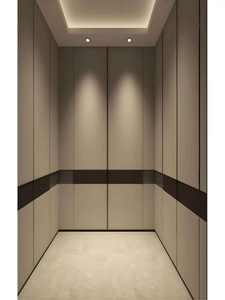 Ascenseur commercial pour passagers 800 kg Ascenseurs résidentiels Ascenseurs pour maisons Ascenseur résidentiel - Product Image 3