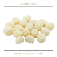 Offre Exclusive Festival : Bonbons Premium Menthe Jasmin, Haleine Fraîche, Bonbons Durs Emballés Individuellement, Vente en Gros