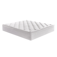 Matelas en mousse à mémoire de forme ultra-douce Spring Cross-border Hotel avec ressorts ensachés, surmatelas de 30 cm d'épaisseur, roulé et emballé, moderne
