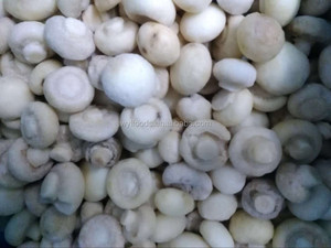 Mùa mới nhà máy số lượng lớn Nấm Đông lạnh champignons - Product Image 3