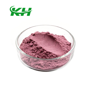 Poudre de baies d'açaï de qualité alimentaire pure à 99 %, soluble dans l'eau, poudre de jus de baies d'açaï - Product Image 4
