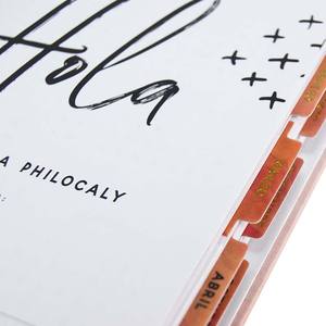 Usine en gros bonne qualité prix bas académique <span class=keywords><strong>2022</strong></span> A4 planificateur d'organisateur personnalisé quotidien - Product Image 2