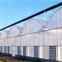 Grande serre agricole multi-chapelles clé en main en film plastique pour tomates, fraises, fleurs et myrtilles