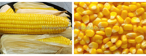 เครื่องนวดข้าวโพดอัตโนมัติแบบใช้ไฟฟ้าพร้อมเครื่องยนต์สำหรับข้าวโพดสดและข้าวโพดหวาน - Product Image 2