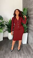 Nouveaux ensembles de jupes pour femmes, vêtements de bureau, ensembles de 2 pièces, hauts pour femmes, chemises, robes à manches longues