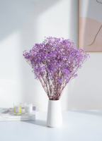 Karangan Bunga Baby's Breath Kering Alami Grosir, Gypsophila Awet Berwarna-warni untuk Dekorasi Pernikahan, Hadiah Hari Ibu