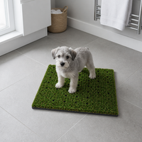 Gazon artificiel pour animaux de compagnie, tapis synthétique durable pour chien avec drainage, idéal pour l'hygiène des animaux, la cour et le chenil