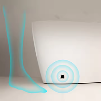 Meilleures ventes : WC intelligent automatique sans réservoir, avec chasse d'eau électrique, capteur de pied et cuvette chauffante
