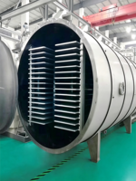 Commerciële vacuümvriesdroogmachine met SUS304 materiaal, automatische bediening en energiebesparende functies voor de verwerking van voedsel en fruit.