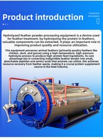 Machine de rendu CMJ-1 1.0 T/lot certifiée ISO14001 ISO45001 avec chaudière en acier Q345R pour usine d'aliments pour animaux