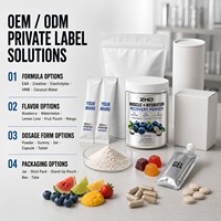 Poudre d'électrolytes et de créatine EAA |   Récupération musculaire et hydratation |   7g d'EAA, 3g de créatine, 3 électrolytes |   30 portions 390g