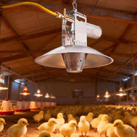 Chauffe-poussins automatique à contrôle de température pour l'élevage de volailles (poulets, canards, oies) et l'équipement d'élevage du bétail