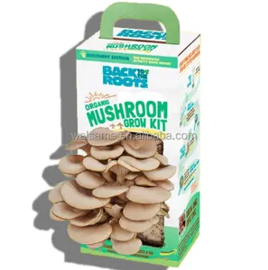 사용자 정의 굴 버섯 성장 키트 상자 종이 판지 포장 상자 버섯 성장