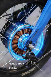 Bicicleta de Montaña Todoterreno Personalizada de 52v 2000w con Luz LED de Gran Potencia y Amortiguación Hidráulica - Product Image 4