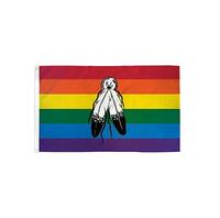 Drapeau de fierté LGBTQ+ double face 3x5 pieds, bannière non binaire Two Spirits avec mât en fibre de verre pour usage extérieur et intérieur