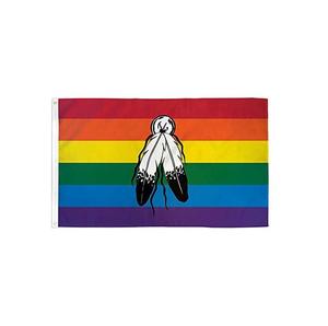 Pas cher LGBTQ 3X5 Ft Double Face Non-binaire Deux Esprits Fierté Drapeau Bannière pour Extérieur Chambre Intérieur - Product Image 3
