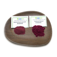 Capsules de racine de betterave de qualité supérieure-Complément alimentaire naturel à base de plantes pour le soutien énergétique et le bien-être
