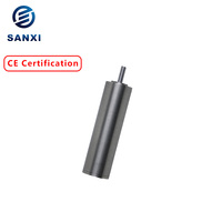 Moteur CC sans balais en alliage d'aluminium Sanxi 16 mm, 70 000 tr/min, haute vitesse, électrique, 48 V, 80 W, 1656 BLDC, micro-moteur CC sans balais sans fentes