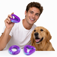 Service OEM/ODM d'usine, jouet à mâcher anti-déchirure en caoutchouc TPR avec logo personnalisé, distributeur de friandises pour chiens de petite race, usage quotidien