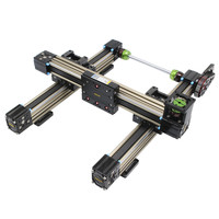 Module de portique à double axe XY Mjunit pour distribution automatique, revêtement et pulvérisation, glissement transversal électrique haute vitesse et silencieux de précision
