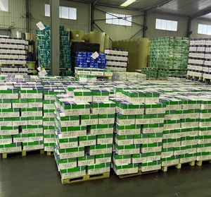 กระดาษปอนด์ A4 หนา 80 แกรม ขายส่ง เยื่อไม้แท้ 100% 70/80 แกรม สำหรับใช้ในสำนักงาน - Product Image 6