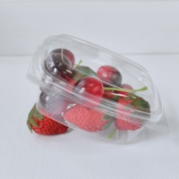 Contenants à clapet compostables certifiés BPI, à base de plantes, avec couvercle articulé, boîte alimentaire jetable pour restaurant