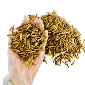 Larves de Mouches Soldat Noires Séchées au Micro-ondes pour l'Alimentation des Tortues, Poissons, Poulets et Animaux – Sans Additifs Alimentaires, Facile à Stocker - Product Image 3