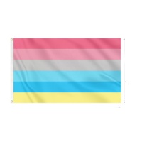 Drapeau Polygenre OEM, Drapeau Multigender 3x5ft, Impression Numérique Personnalisée en Polyester, Vente en Gros Usine, Personnalisable pour Événements Nationaux