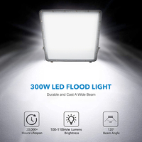 Nouveau projecteur LED industriel 30W 50W 100W 150W 200W 300W 400W pour éclairage de chantier SMD