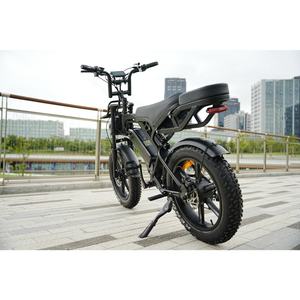 Vélo Électrique Tout-Terrain Zerogo Fatbike Durable Mini V20 Bici Elettrica <span class=keywords><strong>VTT</strong></span> Électrique pour Adultes Entrepôt International - Product Image 4