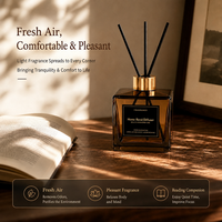 OEM Maßgeschneiderte Private Label Starlink Marke Reed Diffuser Großhandel Langanhaltender Rattan-Stick Aromatherapie Glasflasche für Zuhause